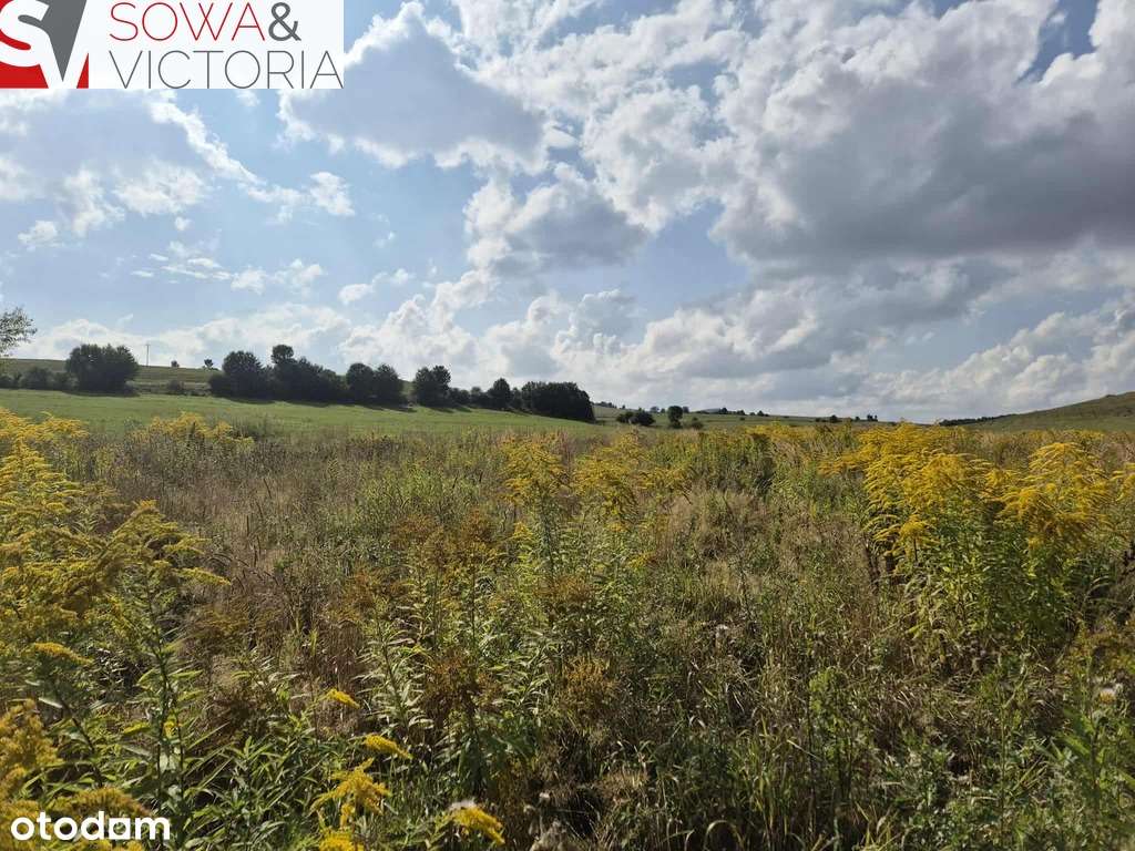 Działka w Strudze bez zabudowań w sąsiedztwie. - Pełny obrazek: 4/5