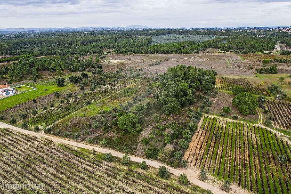 Terreno  para venda - Grande imagem: 4/16