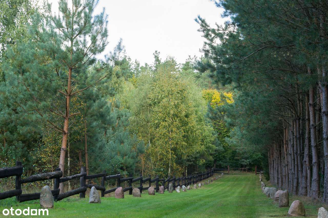 2,82 ha prywatnego lasu z domkiem – oaza spokoju na sprzedaż!