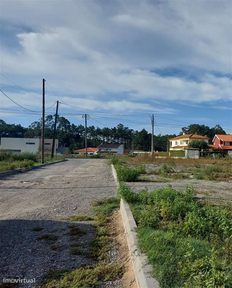 Terreno agrícola em Covão do Lobo, Vagos - Grande imagem: 3/5