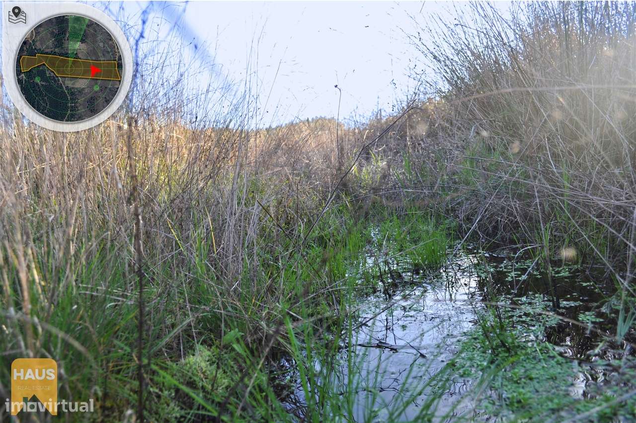 Terreno com 26.000 m² à venda em Castelo Branco. - Grande imagem: 5/23