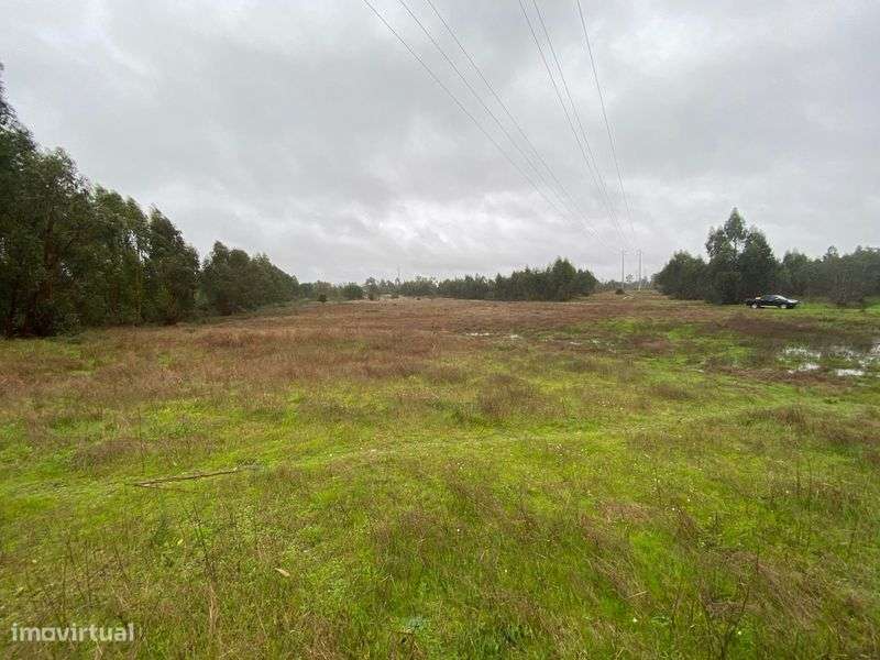 Terreno 19640m2 Marinhais (Salvaterra) - Grande imagem: 5/5