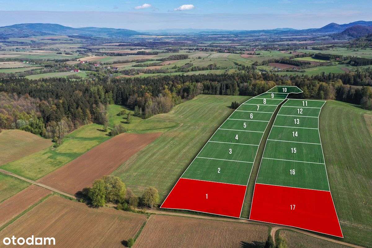 Działki widokowe w gminie Międzylesie / 3000 mkw.-1