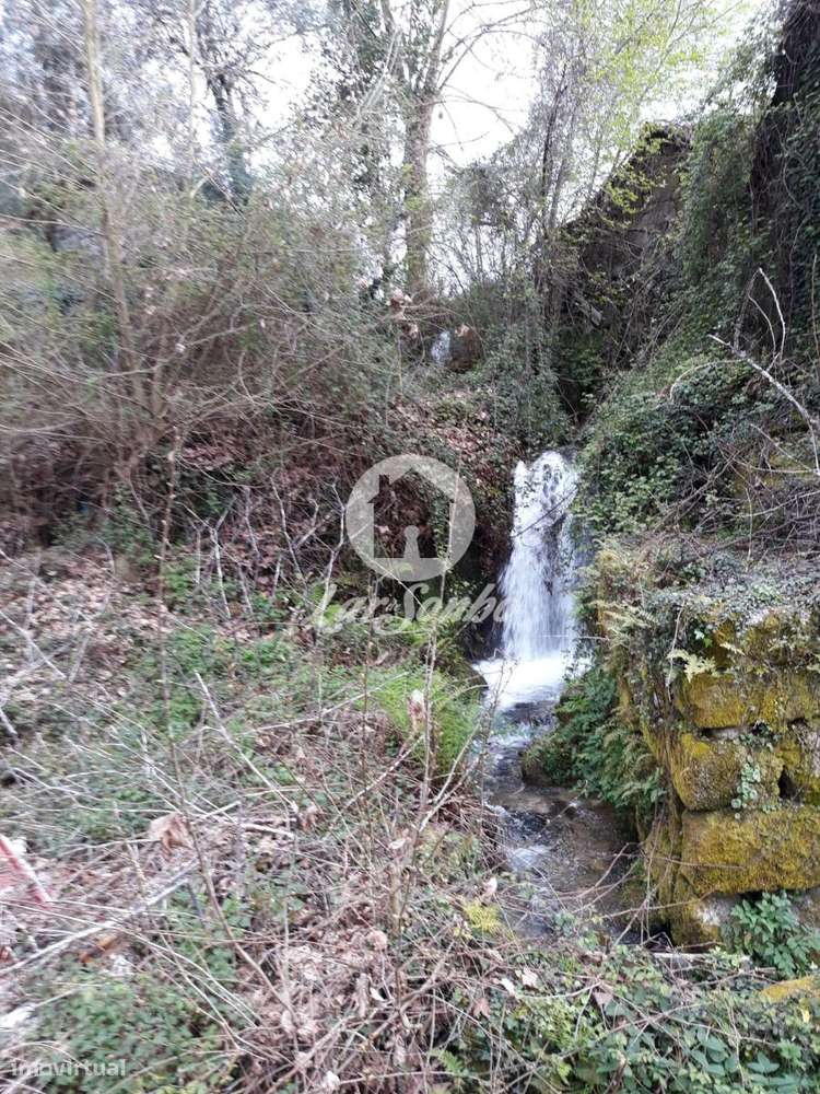 Moradia individual para recuperar com moinho, 1038m2 em Mondim de B... - Grande imagem: 5/13