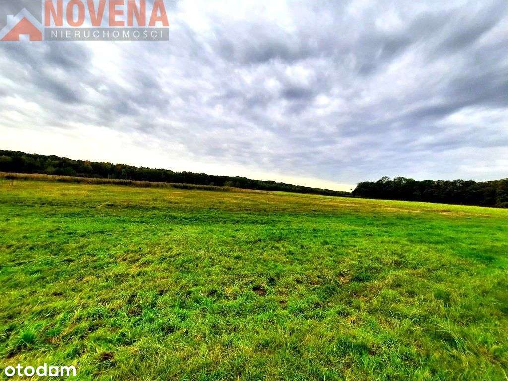 Mała wieś 5 km od Obornik Śląskich. - Pełny obrazek: 4/4