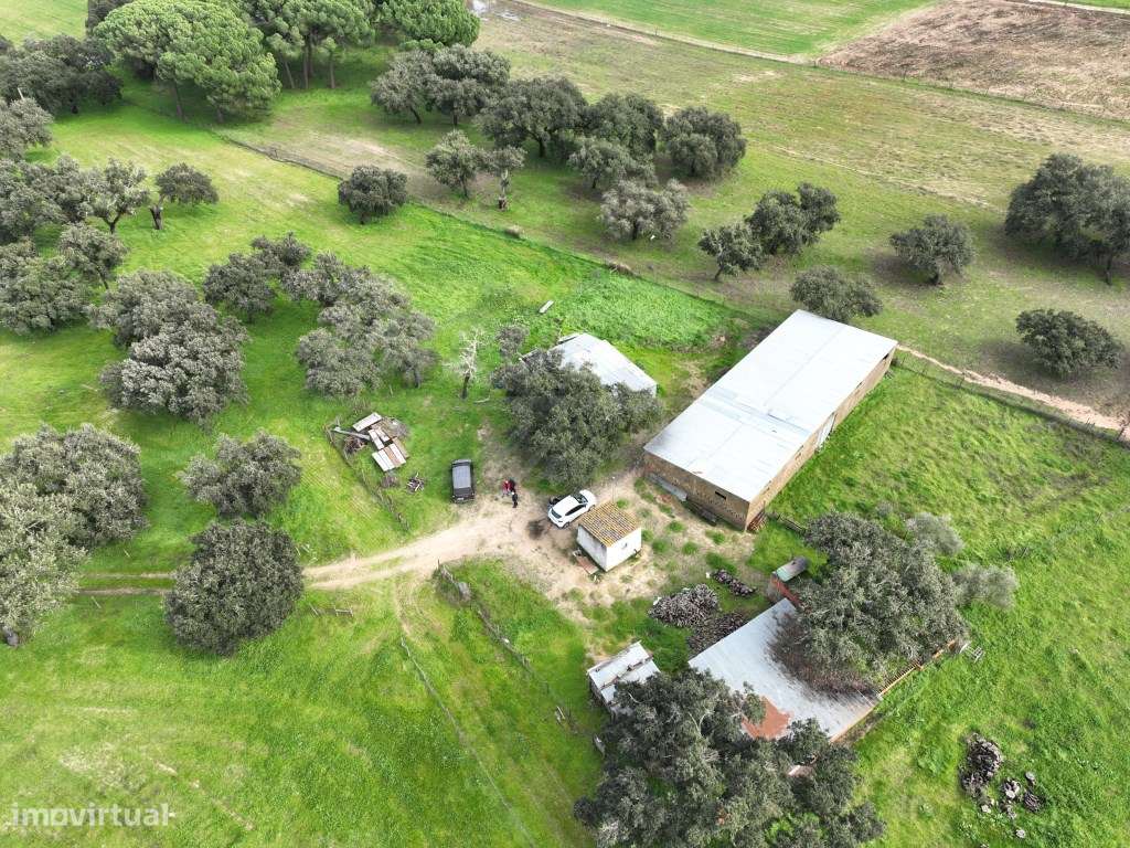 Propriedade Rústica com 11 Hectares junto a Canhestros-34