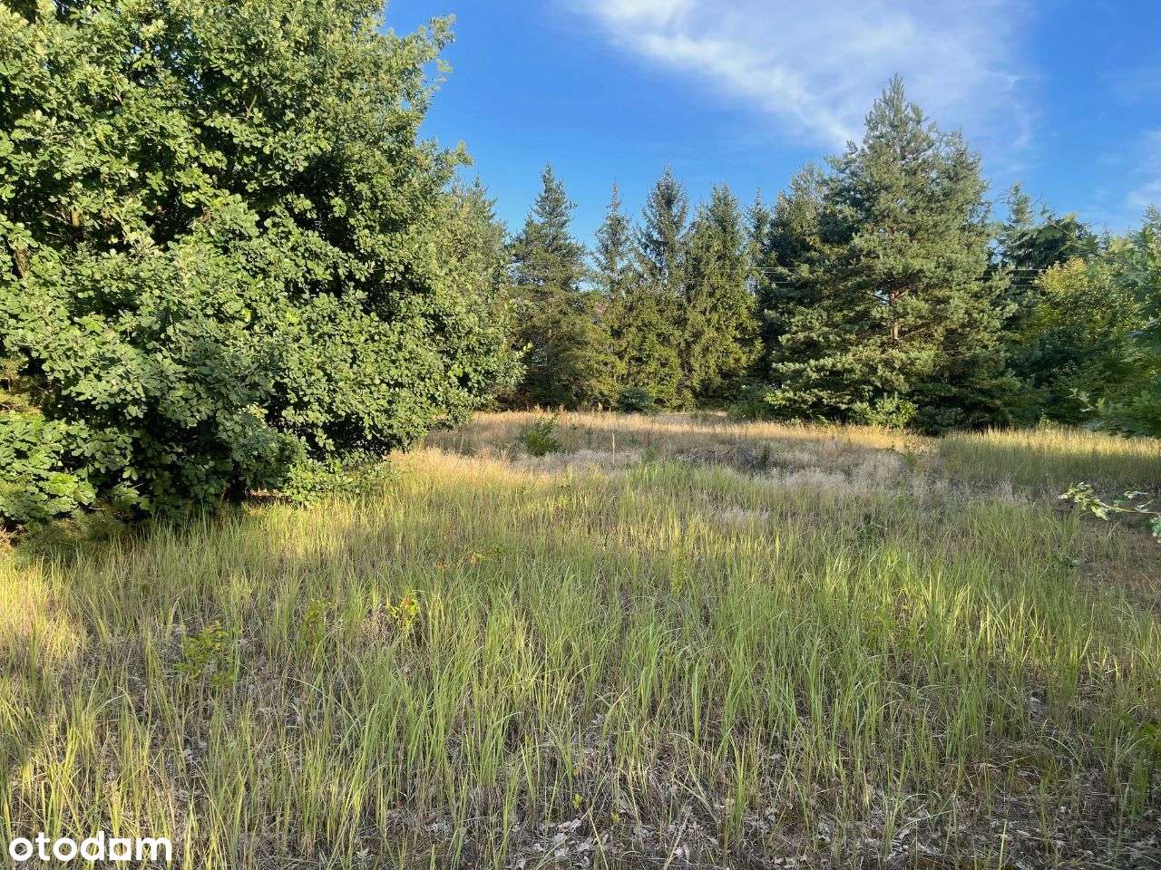 Sprzedam działkę bud-3000m-Stefanowo-gm.Lesznowola-6