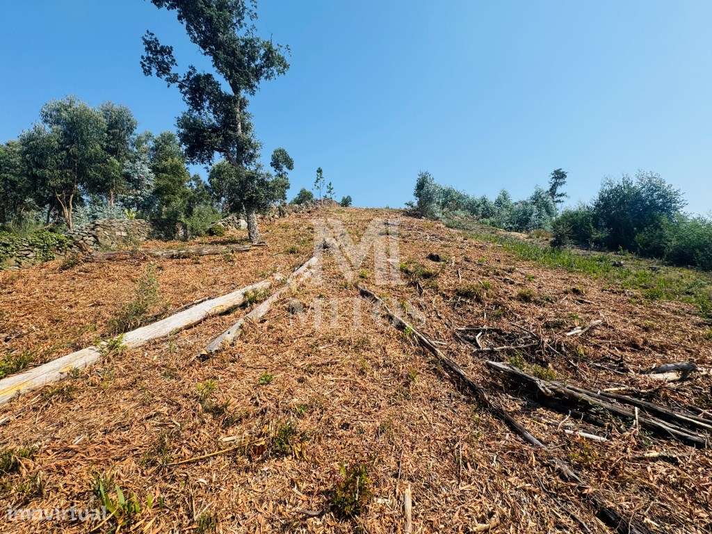 Terreno com vistas fabulosas para venda na Meadela - Viana do Castelo - Grande imagem: 4/12