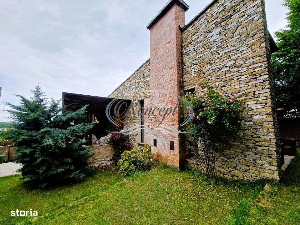 Casa deosebita in Faget - Imagine principală: 4/19