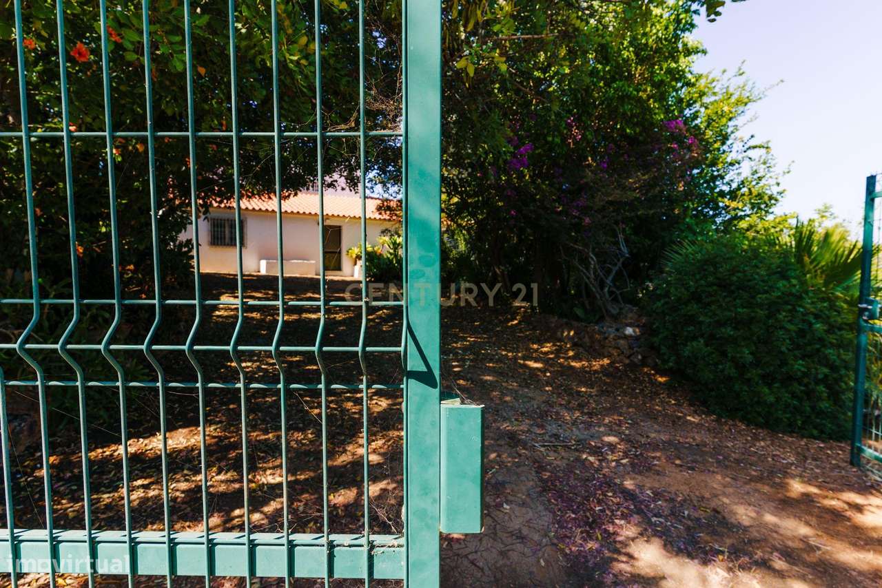 Quinta com 8660 m2 com Moradia, piscina e dois terraços panorâmicos em - Grande imagem: 5/52