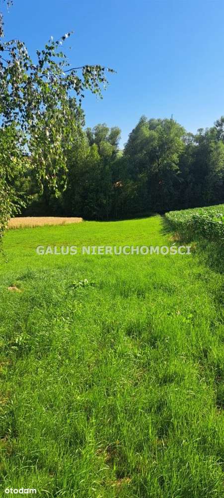 Działka rolna 2,5200 Ha i gospodarstwo-9