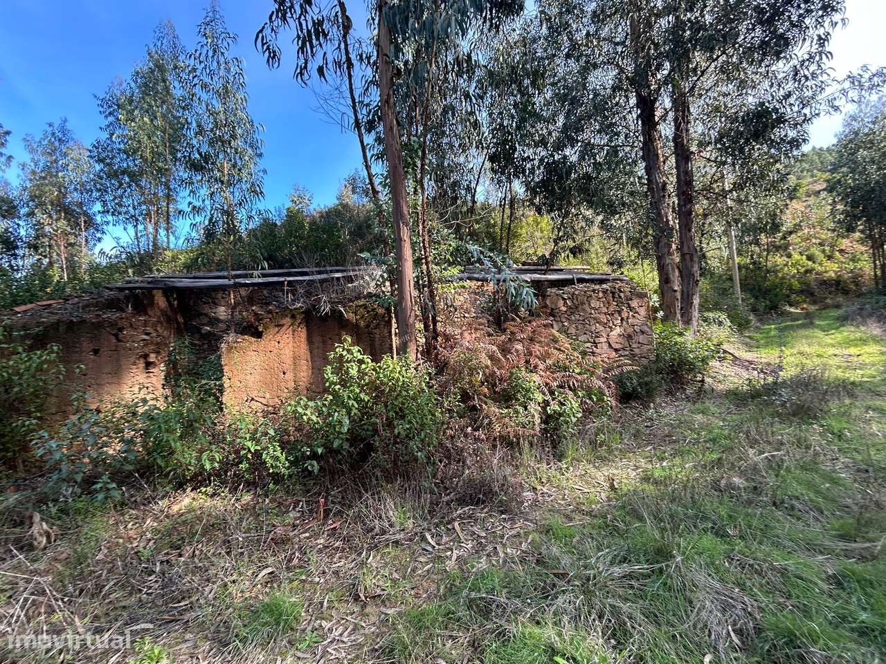 Terreno rustico , com ruína registada. - Grande imagem: 4/9