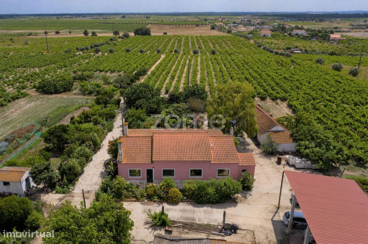 Herdade D. Alda - vinhas prestigiadas e premiadas! - Grande imagem: 4/23