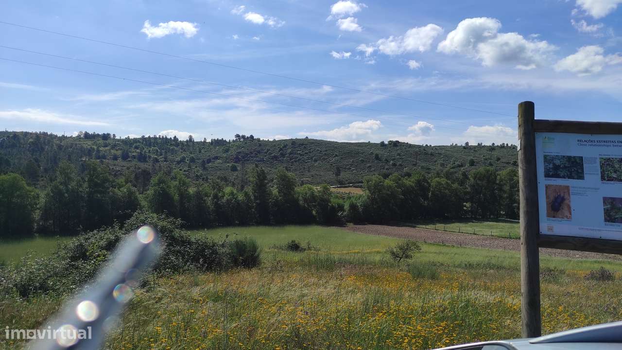 Quinta com Vista para a Serra da Estrela – Um Refúgio Natural-6