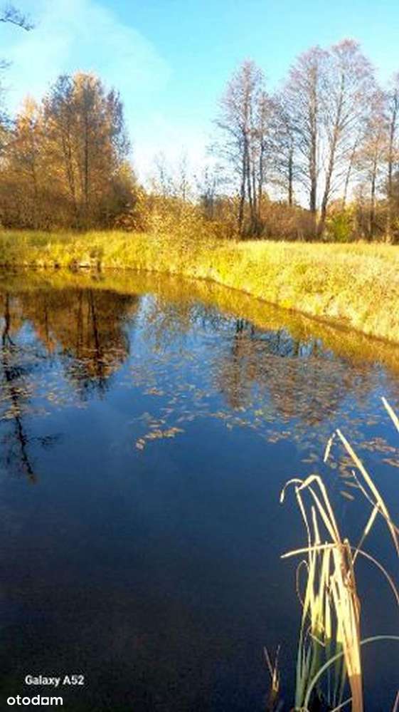 Działka rolna 5700 m2 ze stawem, pomostem, rzeczką, wiatą. 0 prowizji - Pełny obrazek: 4/4