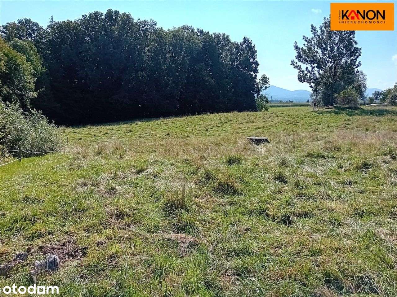 Działka, 3 700 m², Roztropice-5