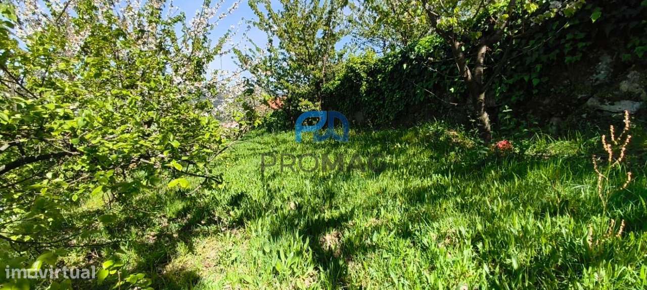 Quinta do Valado- Excelente Investimento em Resende-46