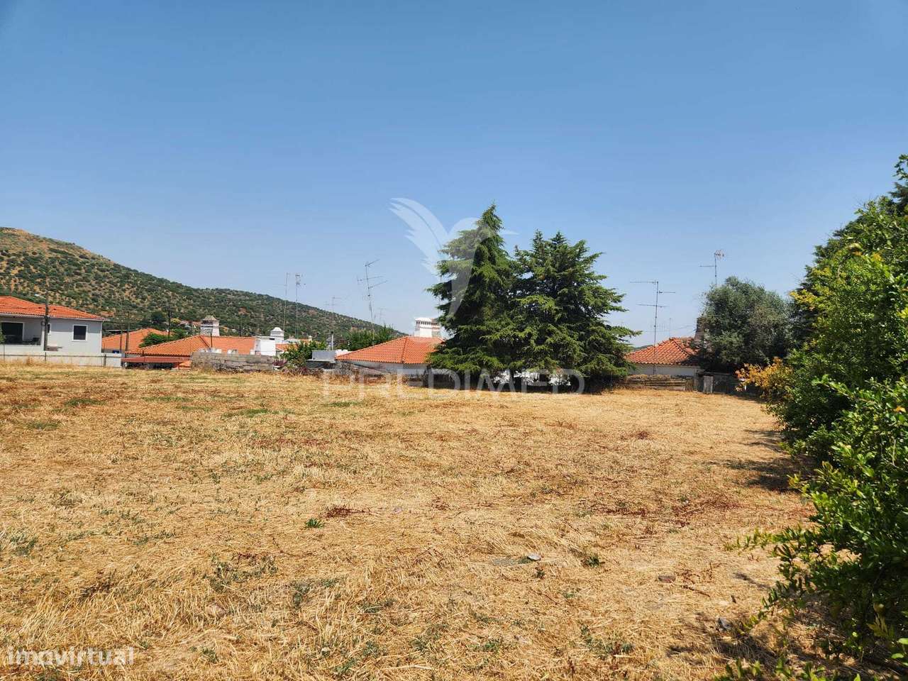 QUINTA HORTA DAS LARANJEIRAS ELVAS BOA FÉ - Grande imagem: 4/29