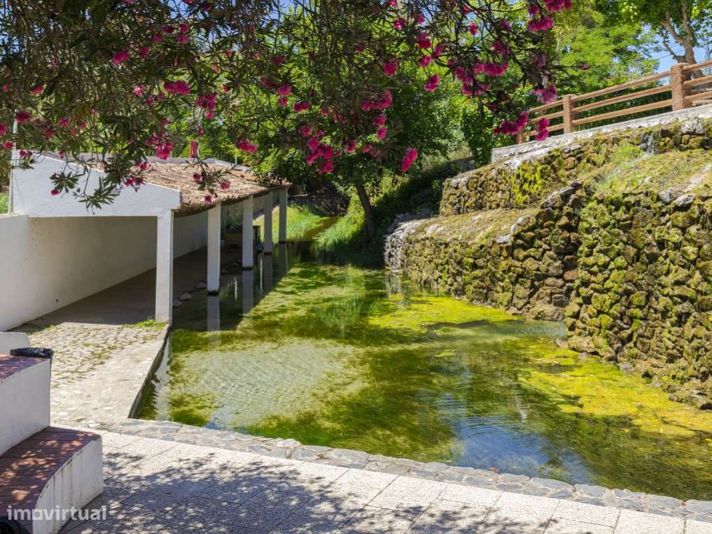 Monte Alentejano para recuperar em Melides-14