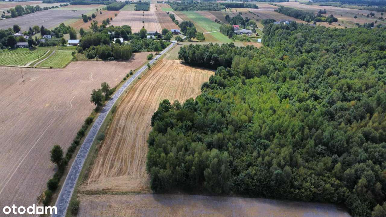 Sprzedam działki - Pełny obrazek: 4/10