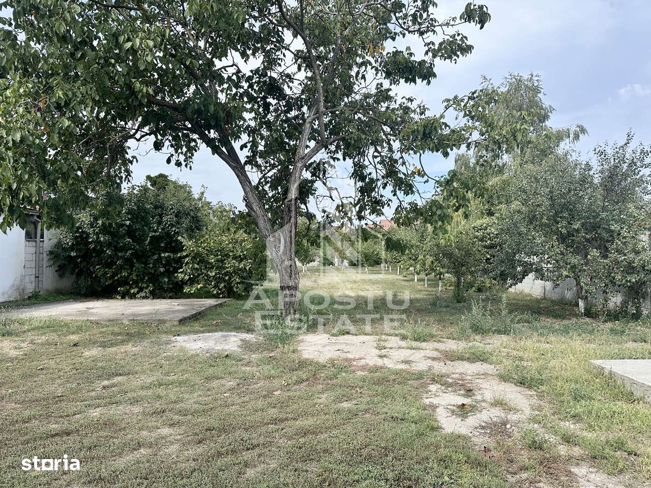 Casa cu teren 1451 mp, Dumbravita - Imagine principală: 1/9