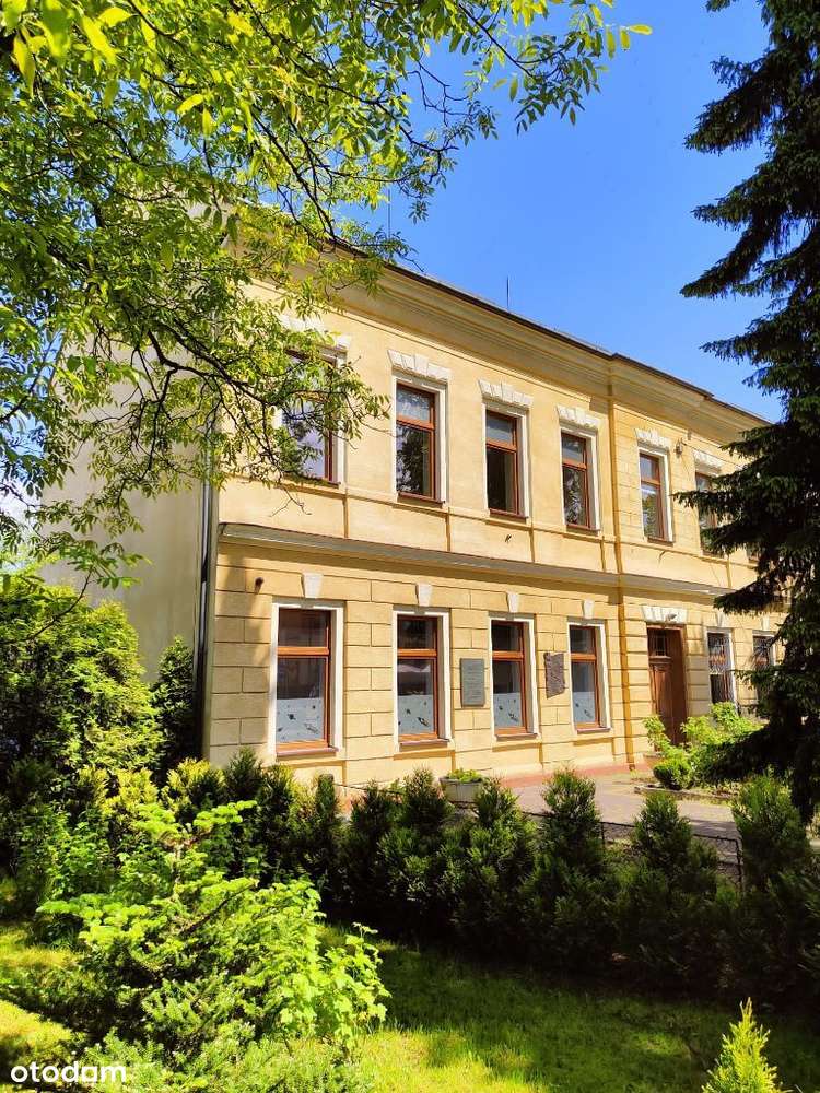 Sprzedam wolnostojący budynek w Strumieniu Śląsk - Pełny obrazek: 4/20