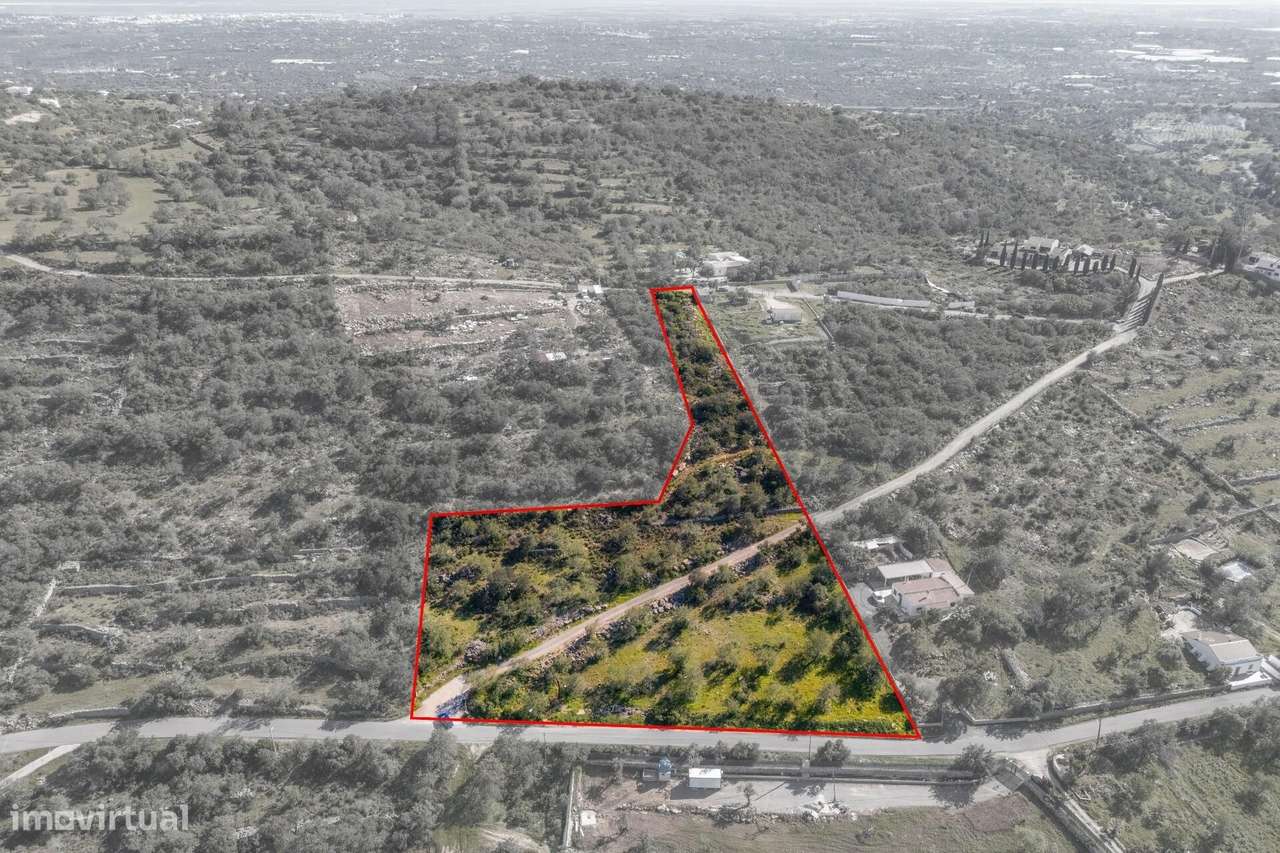 Terreno rustico com 9560m2, localizado em Azinheiro. - Grande imagem: 4/16