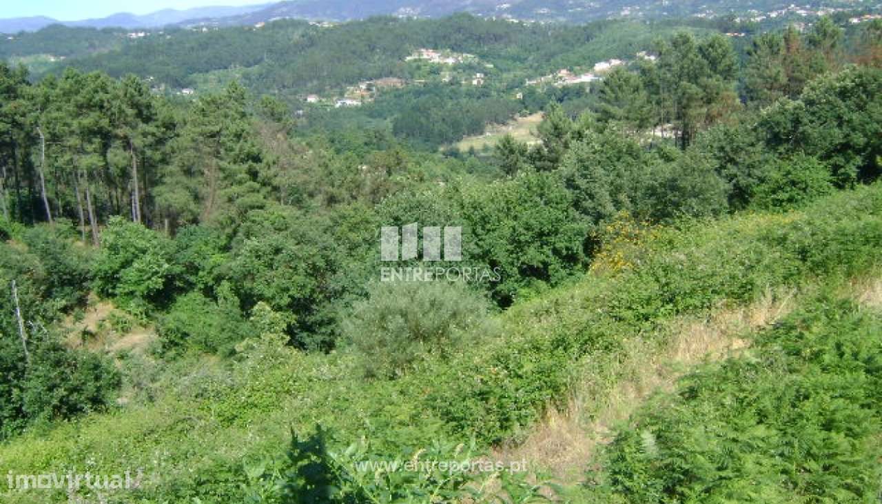 Venda Terreno, Santo Isidoro, Marco de Canaveses - Grande imagem: 5/7