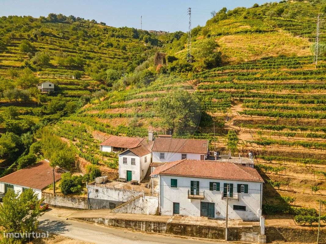 Quinta T8 para venda - Grande imagem: 2/35