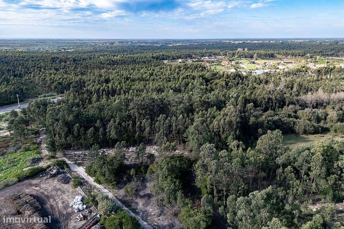 Terreno  para venda - Grande imagem: 2/5