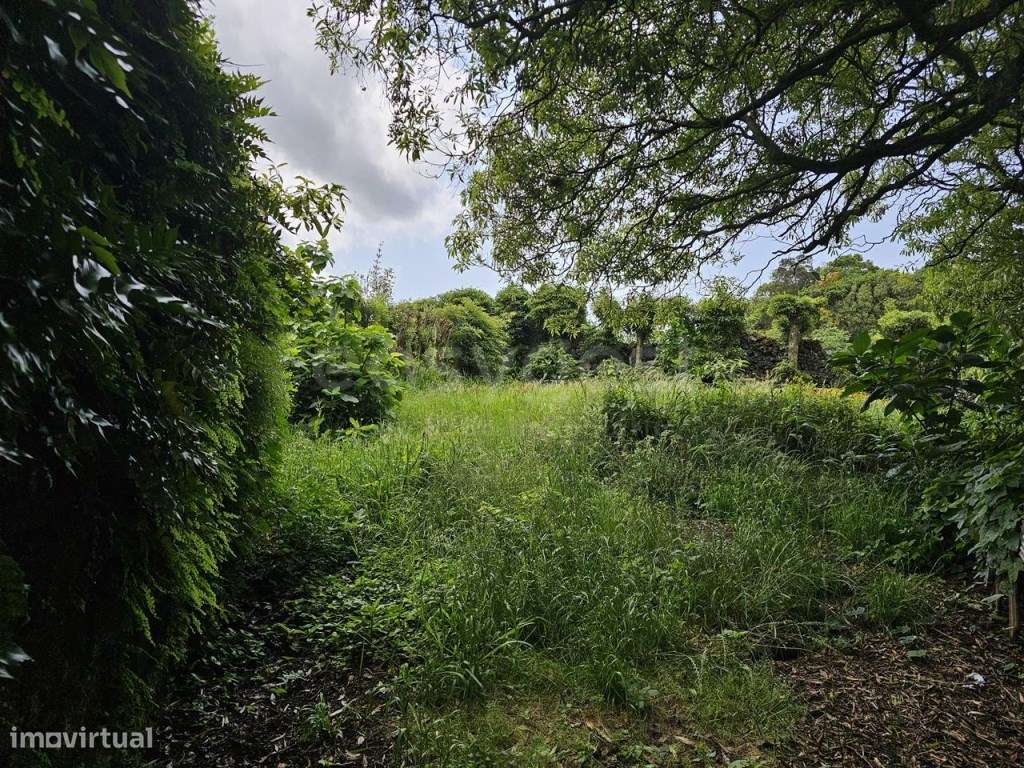 Terreno Urbanizável na Zona da Boavista - Estrada da Ribeira Grande... - Grande imagem: 4/27