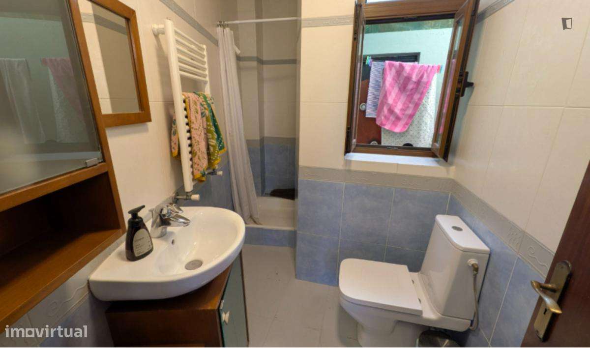 Casa com 2 quartos - localizado em Santo Ildefonso Porto - Grande imagem: 5/9