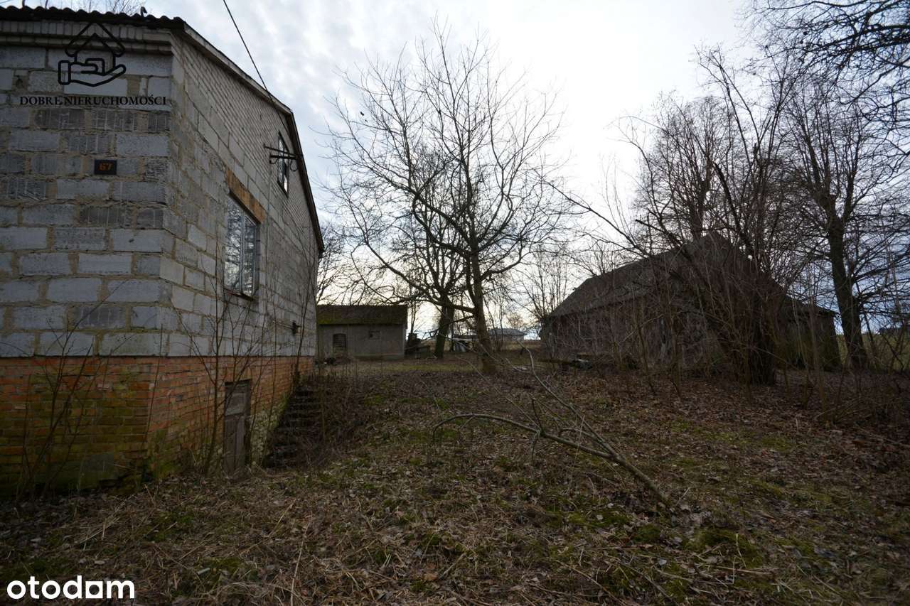 Siedlisko Osowa, 1,5ha, Cicha lokalizacja - Pełny obrazek: 4/5