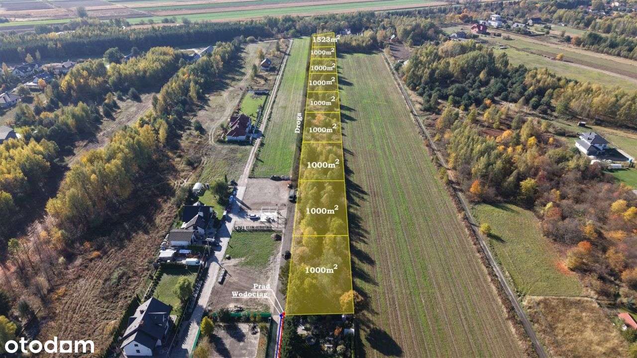 Zadrzewione działki – naturalnie piękne miejsce - Pełny obrazek: 3/9