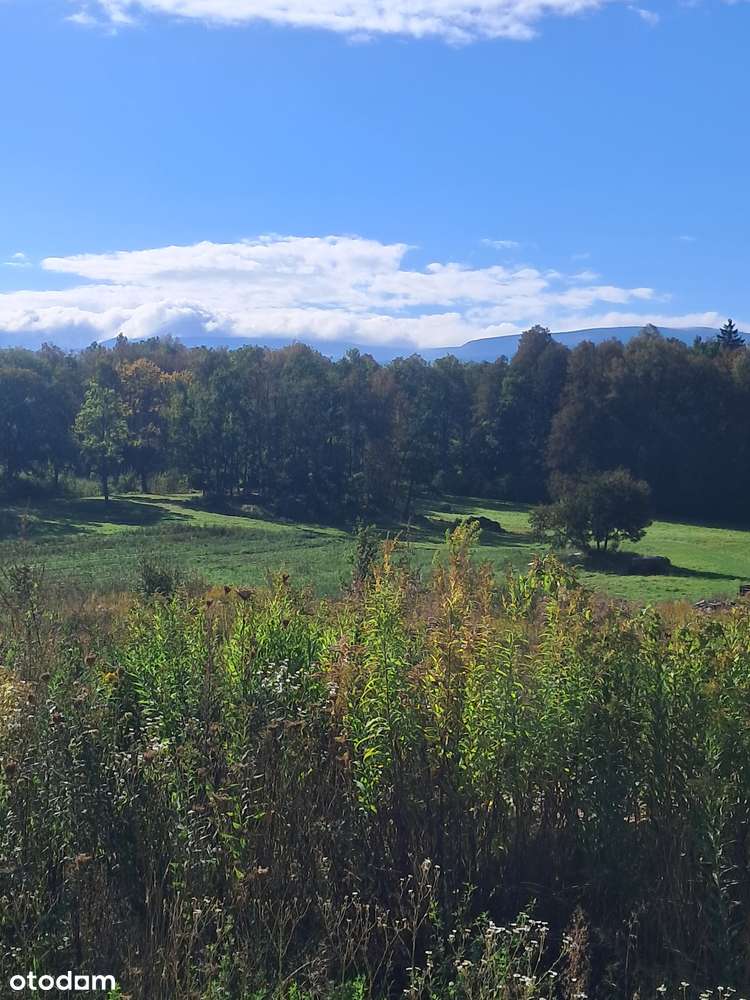 Działka budowlana w Staniszowie z ładnym widokiem.