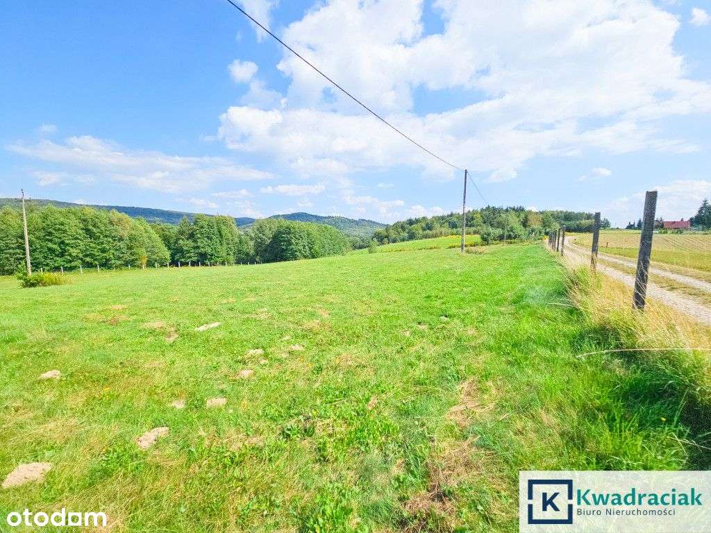 Huta Gogołowska – działki z widokiem, Wz, mediami.-12