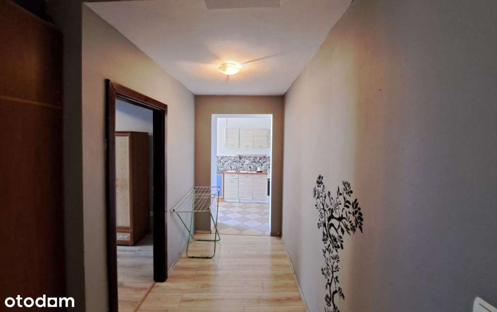 Oława/2 pokoje/centrum - Pełny obrazek: 4/9