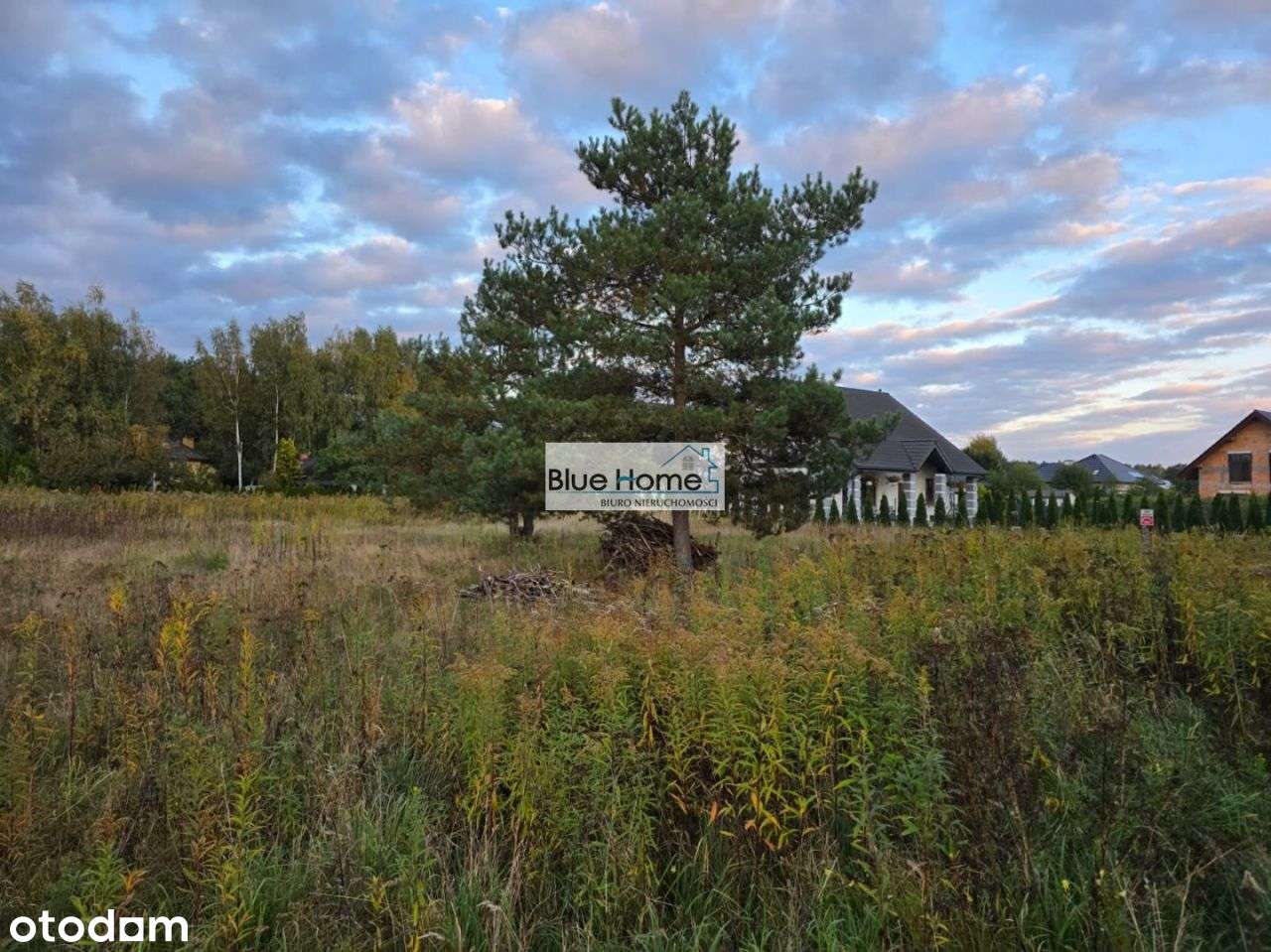 Działka Budowlana - Rozgarty - Pełny obrazek: 5/6