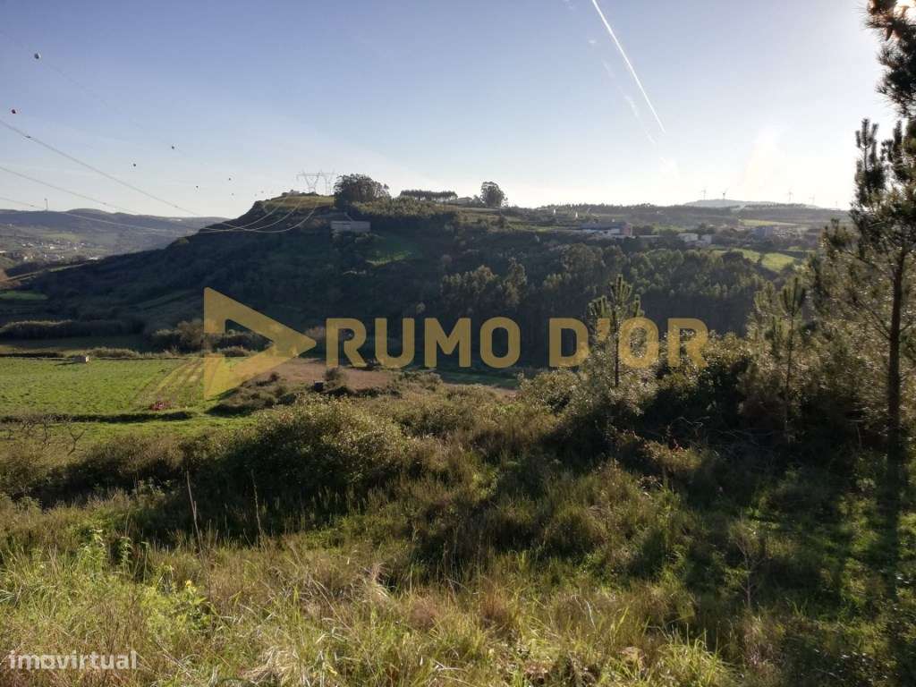 Conjunto de terrenos rústicos com 18880m2 no Sobral de Monte Agraço - Grande imagem: 4/5