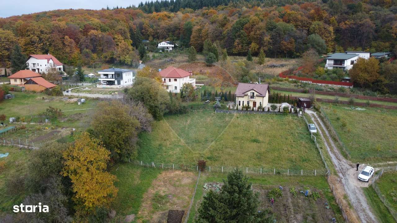 Teren de vanzare în Faget 1542 mp cu panorama-14