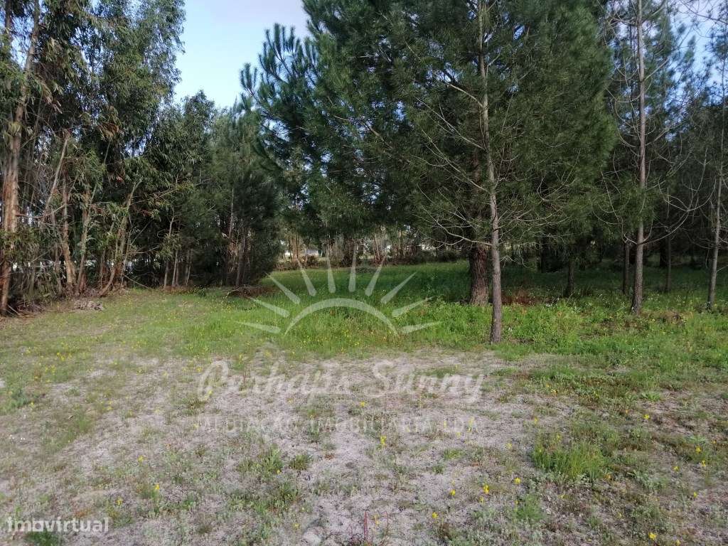 Quinta com Moradia em Grândola - Grande imagem: 5/20