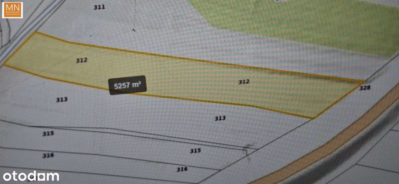 Koszyce,Rachwałowice,Działki 1,2142haRolne-6