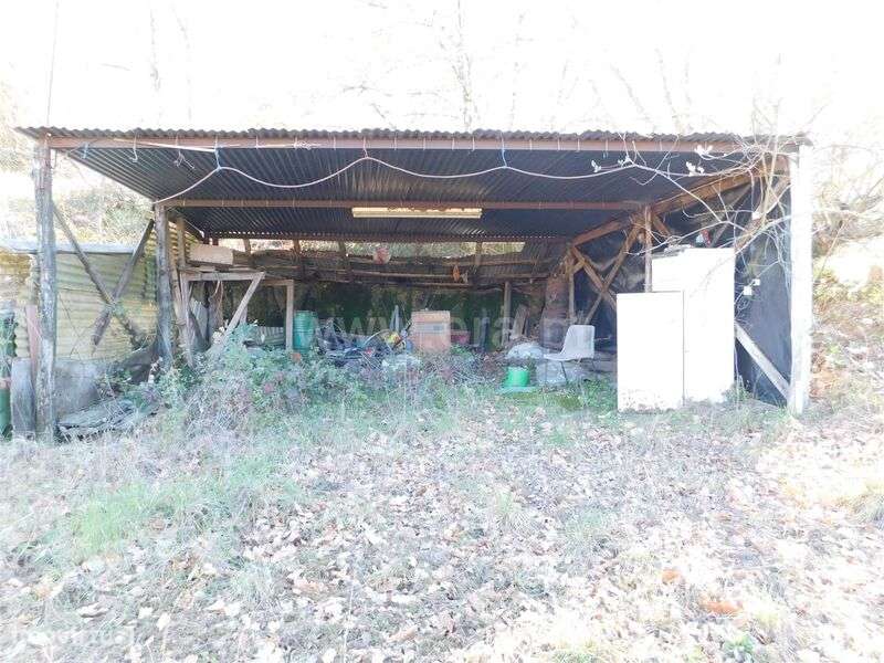 Terreno / Seia, Santa Marinha e São Martinho - Grande imagem: 3/20