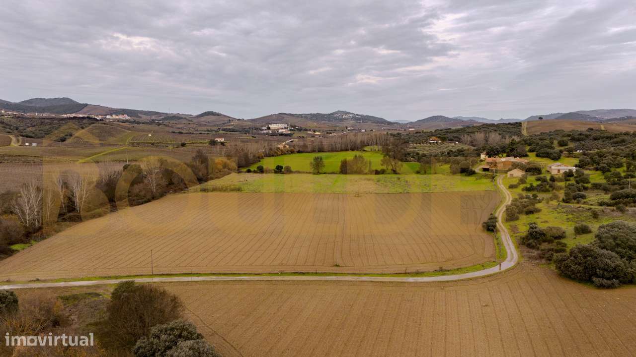 Quinta do Arieiro - Cedovim | Vila Nova de Foz Côa | Douro Superior-43