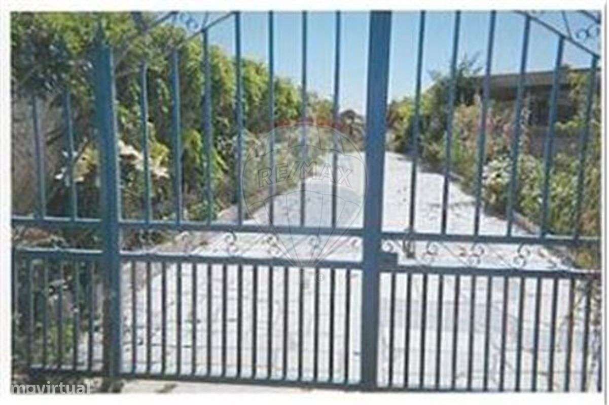 Quinta T3 para venda - Grande imagem: 4/45