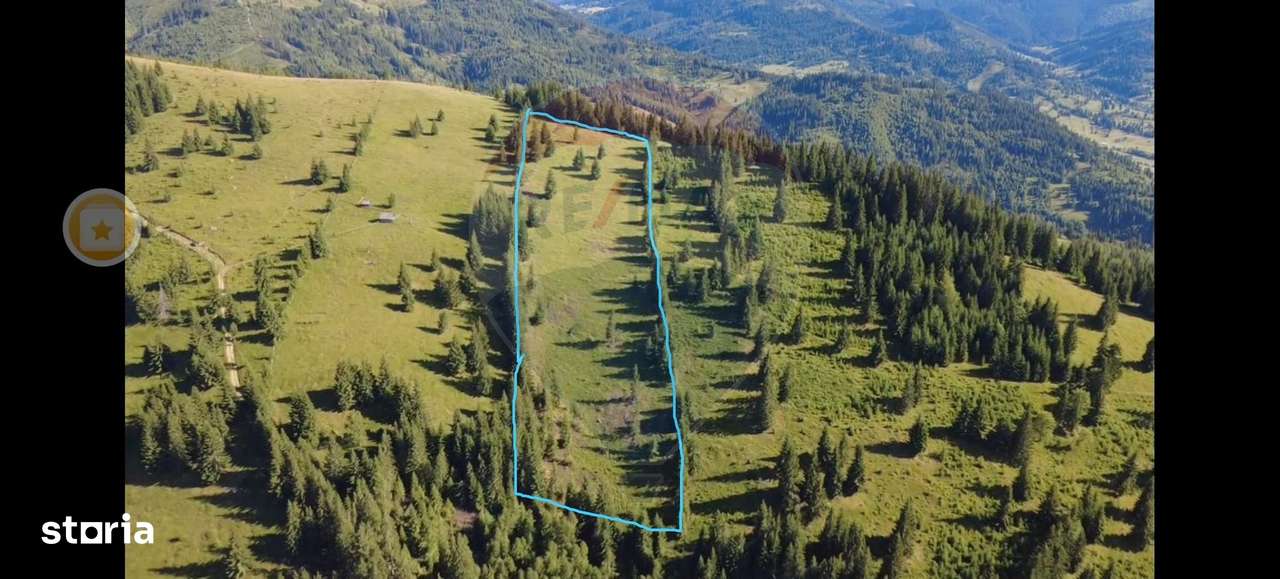 Teren 24,581mp Panaci / Strada Mihăileț - Imagine principală: 3/11