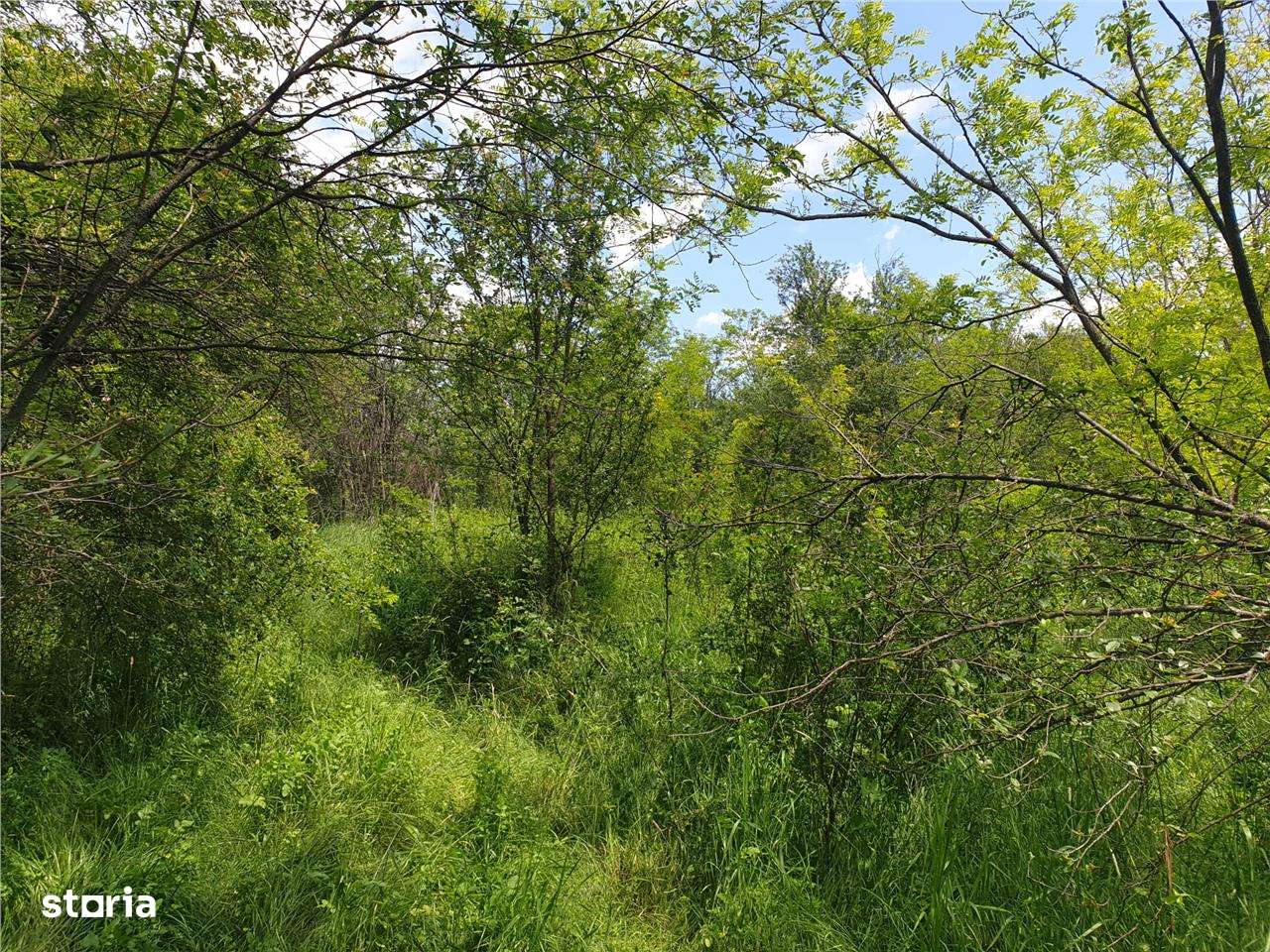 Teren extravilan Episcopia Bihorului - Imagine principală: 3/5