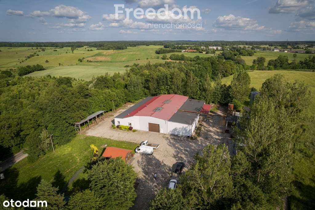 Ramsowo - gotowa hala produkcyjno-magazynowa - Pełny obrazek: 1/11