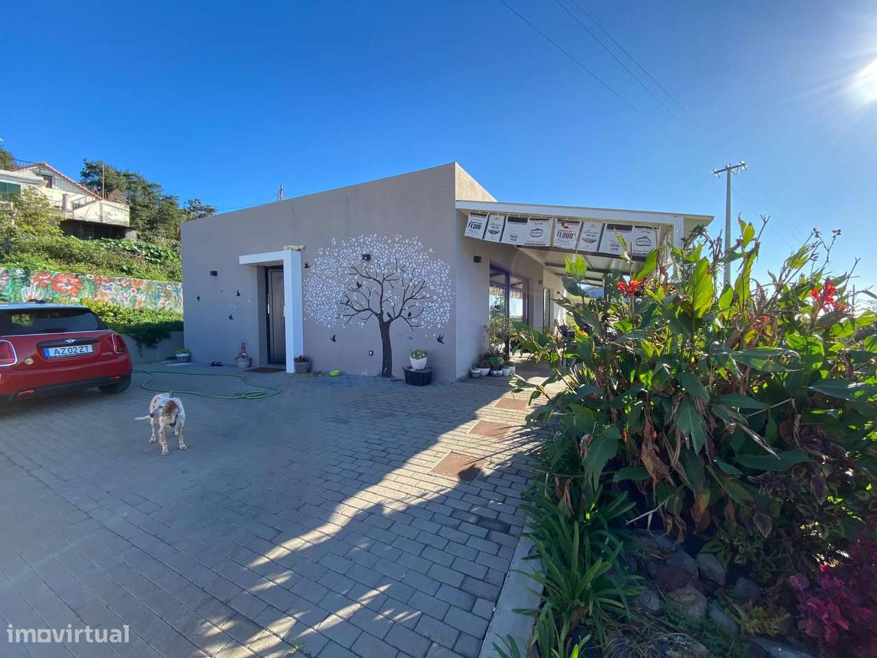 Moderna Moradia T2 com Vista Mar e Piscina na Calheta - Grande imagem: 5/18