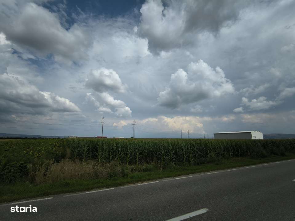 Teren industrial - Imagine principală: 4/11